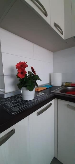 Gold Key Apartments, Durres Beach Buitenkant foto